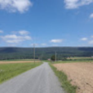 Meet your Posher, Benjamin